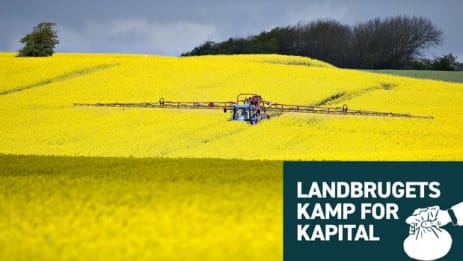 Lave renteudgifter er blevet ædt op af hårde tider for landmændene