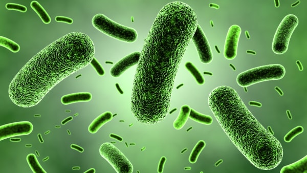 Ny test afslører farlige bakterier, længe før du bliver syg