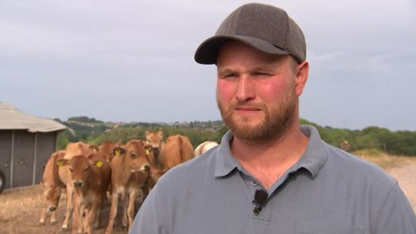 Landmand sender flere køer til slagtning: Kærkomment med hjælpepakke